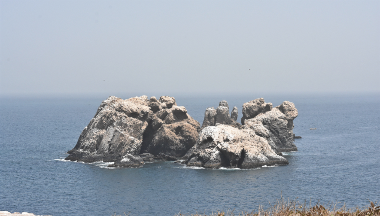 Île Madeleine Sarpant Soumbédioune Dakar Sénégal Cormoran