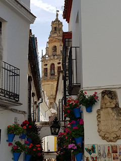 Cordoba andalucia