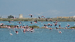 Cabo de Gata