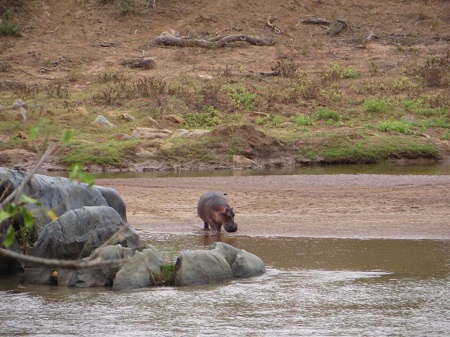 kruger, trail, karen-levy, animaux, safaris, tourisme, voyage, randonnée