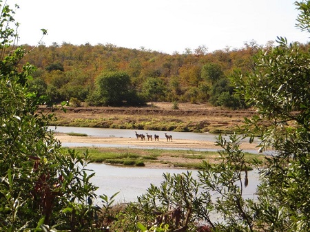 kruger, trail, karen-levy, animaux, safaris, tourisme, voyage, randonnée