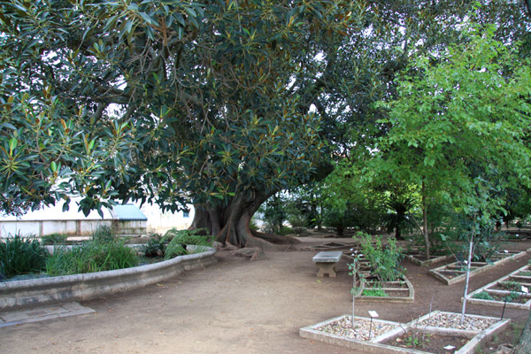 JArdin Botanique de AJuda