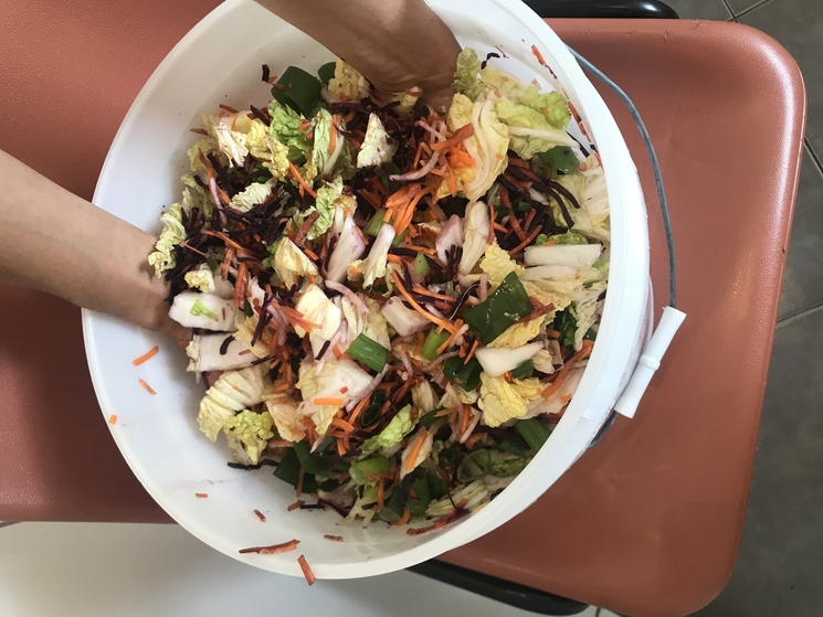 Recette Kimchi