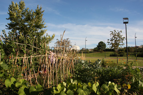 Jardin Potagers