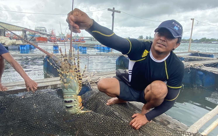 Phuket durant la crise du Covid