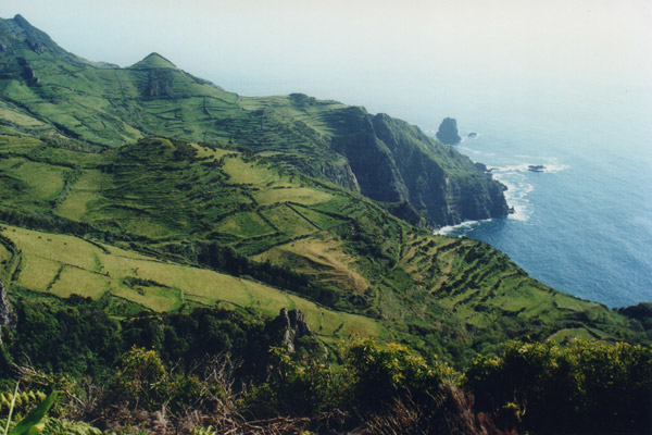 Ile Das Flores Aux Açores