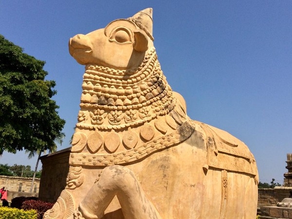 Nandi le taureau de Shiva