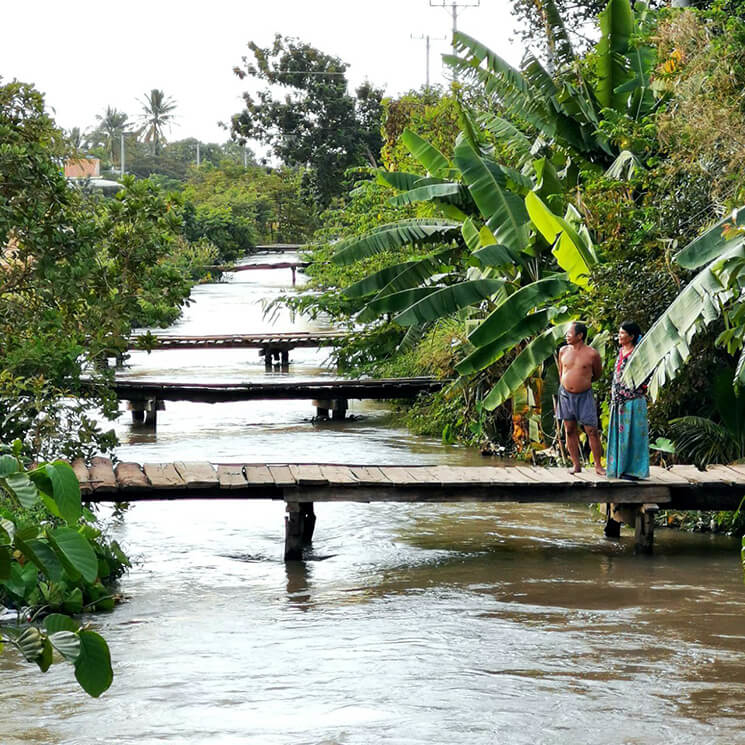 Paysage cambodgien pres de Battambang