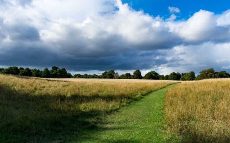 Phoenix Park