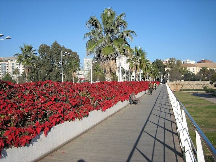 Le pont de las Flores à Valencia