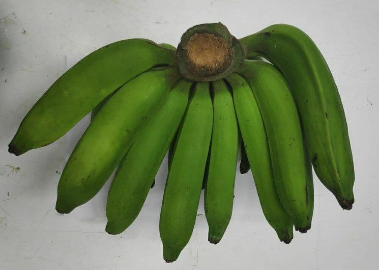 Banane de la variété raja