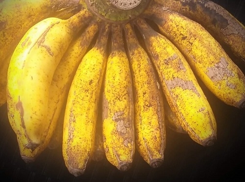 Banane de la variété raja sereh