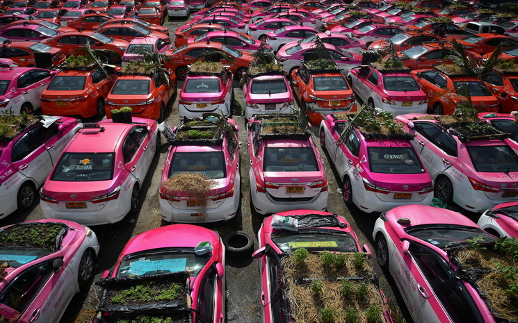 Taxis transformes en jardinieres a Bangkok