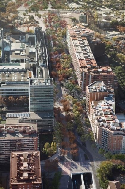 vue aérienne de la future promenade