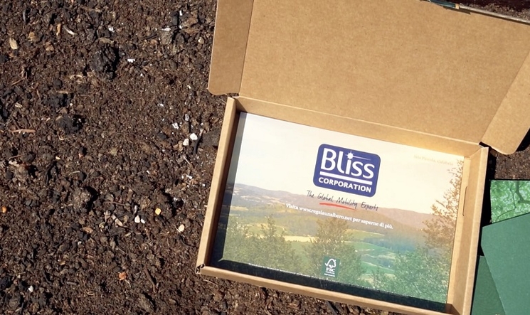 affiche bliss corporation dans une boite en carton