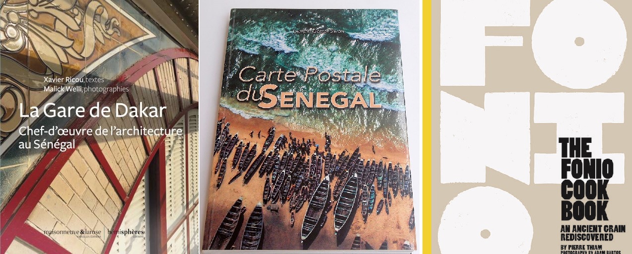 beaux livres senegal gare de dakar simon gerrer pierre thiam