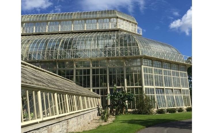 serre du jardin botanique de Dublin