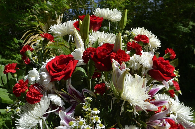 un bouquet de fleurs