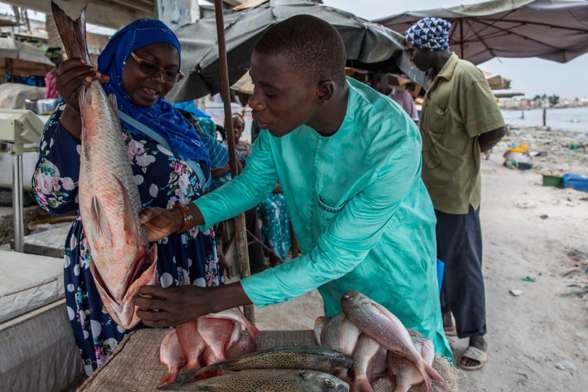 peche senegalaise vente directe