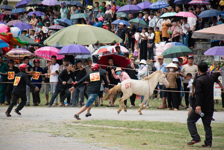 courses de chevaux a Bac Ha 