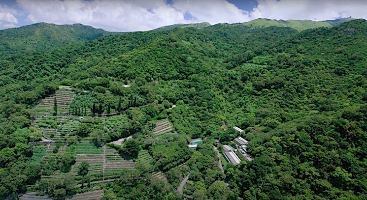 ferme kadoorie vue du ciel 