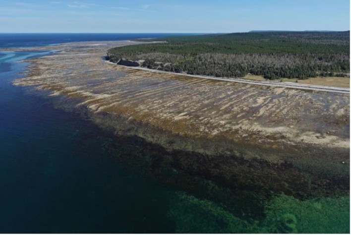 ile anticosti