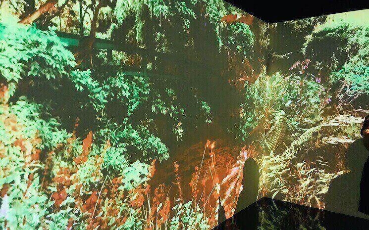 oeuvre immersive de Claude Monet