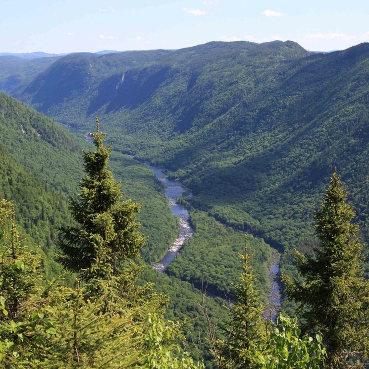 Parc national de la Jacques-Cartier 