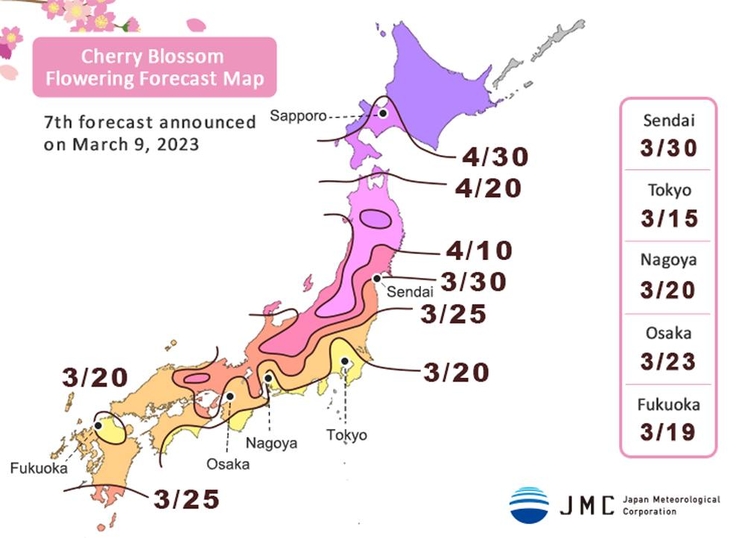 floraison des cerisiers 2023 au Japon