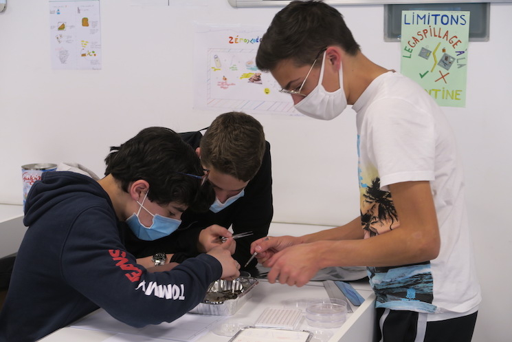 Des élèves de collèges ou de lycées en train d'examiner des échantillons de plastique prélevés sur les plages ou berges de France pour le programme Plastique à la loupe de Tara Océan